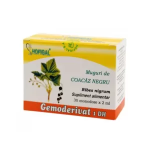 Muguri de coacăz negru gemoderivat 1 DH, 30 monodoze x 2 ml, Hofigal